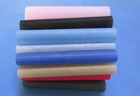 巨鹿涤纶（PET）无纺布是什么