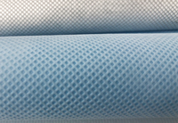 巨鹿(PP)丙纶无纺布跟(PET)涤纶无纺布的区别